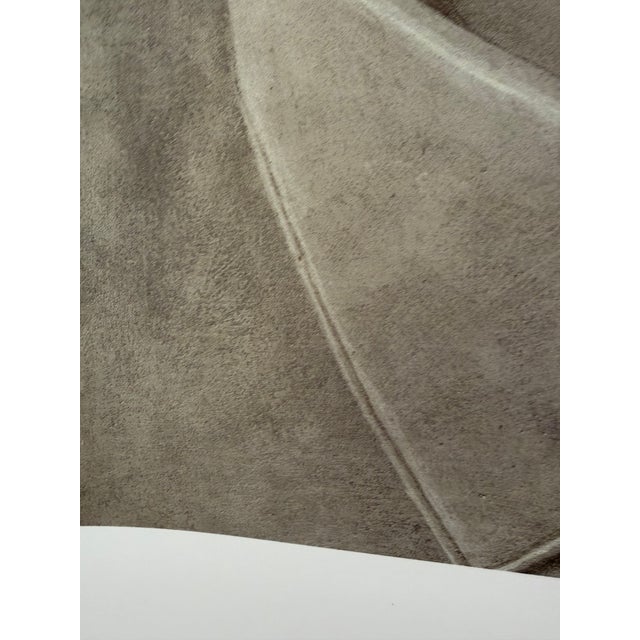Domenico Gnoli (1933-1970), Girocollo 15 1/2, 1966, Copyright Marzia Gnoli, 1994... Printed in the Netherlands., Large Format For Sale - Image 11 of 12