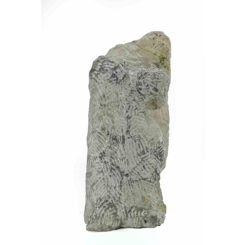 Painted terracotta sculpture realized by sirio pellegrini in 1960s. Good condition. Sirio pellegrini, born in rome on...