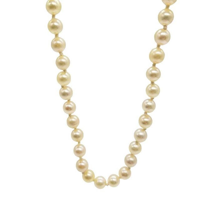 Mid-Century Modern Mid-Century South Sea Roud Pearl Choker Necklace on Silk Cord W/ Silver Clasp For Sale - Image 3 of 7