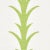 This pattern is a stylized stripe based on a classic acanthus motif. Elegant and airy, the design is also incredibly easy...
