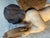 19th Century Large Polychrome Italian Wooden Carved Putto Angel For Sale - Image 9 of 14