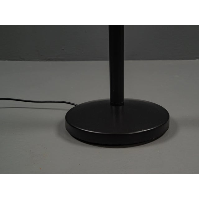 Aqua Black Halogen Floor Light from Venes, 1980s For Sale - Image 8 of 12