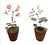 Pair of Artisan Flowers For Sale In West Palm - Image 6 of 12