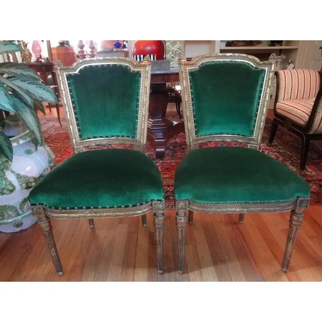 Fabulous pair of mid-19th century French Louis XVI style gilt wood side chairs. These highly detailed French gilt chairs...