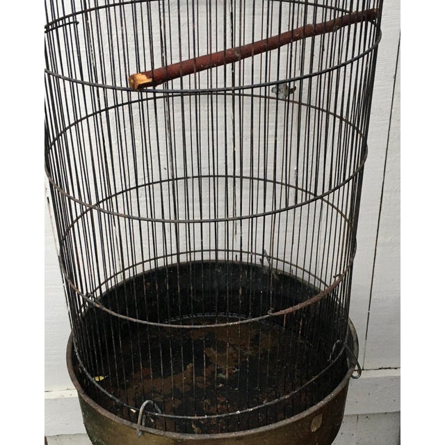 Art Nouveau Antique 36” Large Parrot Bird Cage Garden Decor For Sale - Image 3 of 4