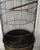 Art Nouveau Antique 36” Large Parrot Bird Cage Garden Decor For Sale - Image 3 of 4