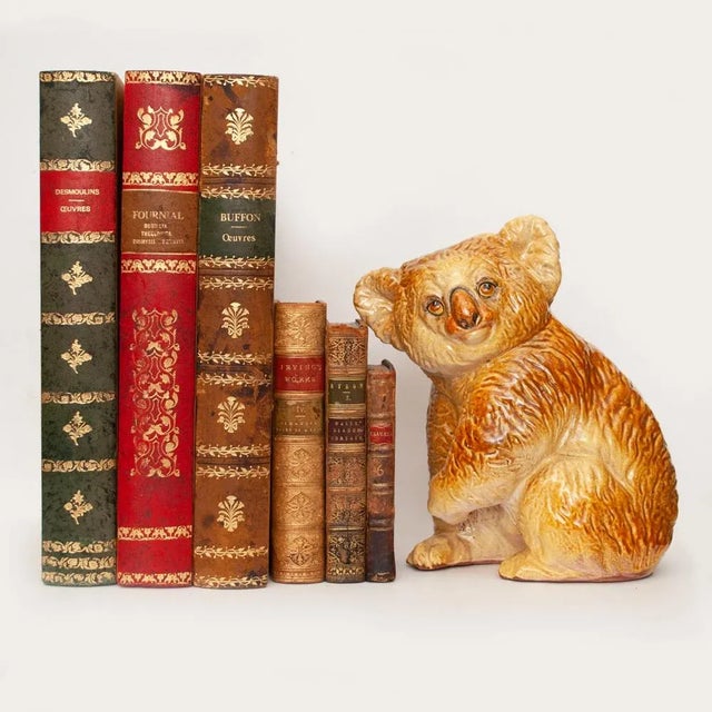 1950s Italian Majolica Large Koala Bear Figurine For Sale - Image 10 of 13