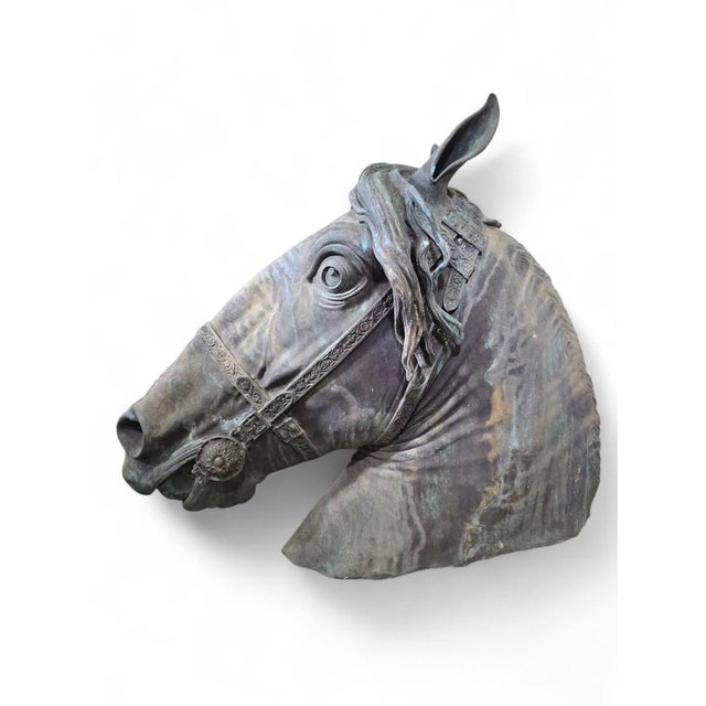 Metal Fernando Sánchez Castillo, Horse Head, 2004, Bronze For Sale - Image 7 of 15