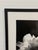 Jess Johnston Photograph, Framed For Sale - Image 12 of 12