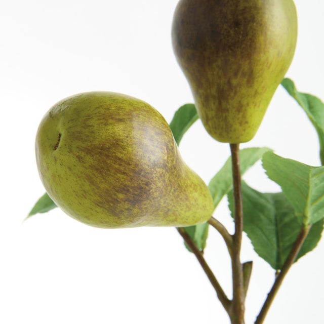 Pear Picks 9.5" St/4 For Sale In Chicago - Image 6 of 7