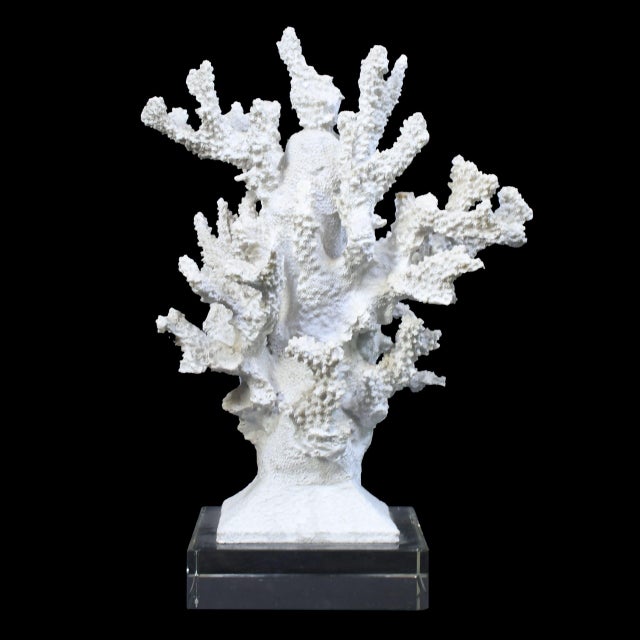 Contemporary Vintage Coral on Lucite For Sale - Image 3 of 3