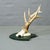 Victorian Black Forest Red Deer Trophy on Plaque - Salem Germany 1861 For Sale - Image 3 of 6