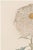 A refined example of late 19th-century Japanese botanical illustration, this vintage art print reproduction features White...