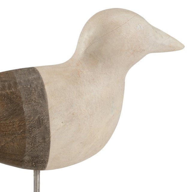 Create a coastal atmosphere by adding shorebird to your decor. This 12" sea gull is crafted in hand stained mango wood....