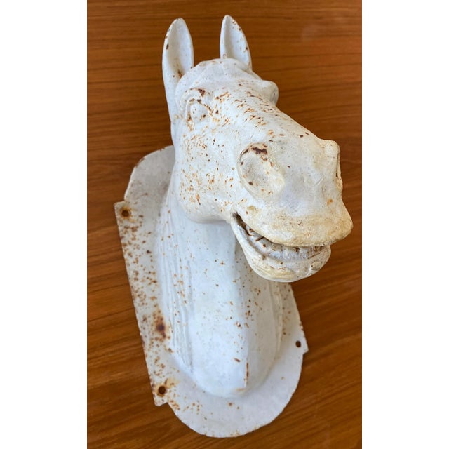 White Antique Cast Iron Horse Head Bust For Sale - Image 8 of 13