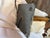 1950s Mid-Century Modern Bamboo and Slate Lamp For Sale - Image 15 of 18