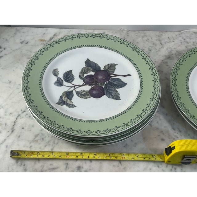 1980s Andrea by Sadek Winterthur Adaptation Botanical Dinner Plates – Set of 14 For Sale In Atlanta - Image 6 of 13