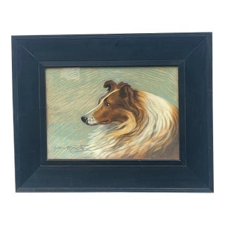 1910s Art Nouveau Pastel Portrait of a Collie For Sale