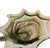 Large Art Glass Swan Vase Green Brown Swirl Handblown Mid-Century Modern Sooner Glass For Sale - Image 12 of 16