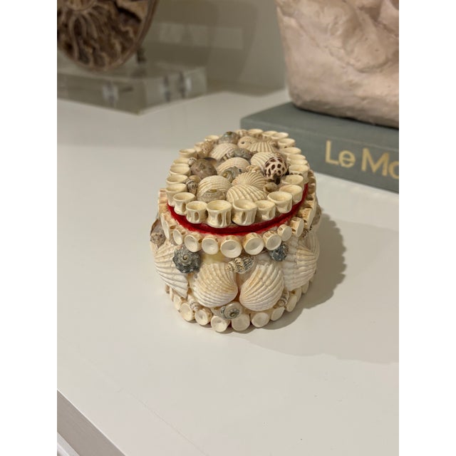 Vintage Palm Beach Style Oval Encrusted Shell Box For Sale - Image 4 of 16