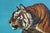 Late 20th Century Tiger on the Watch Camel Landscape Oil Painting After Jean Leon Gerome 46" For Sale - Image 6 of 13