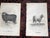 Authentic Antique 19th Century Sheep Stone Lithographs - Set of 12 For Sale In Cincinnati - Image 6 of 9