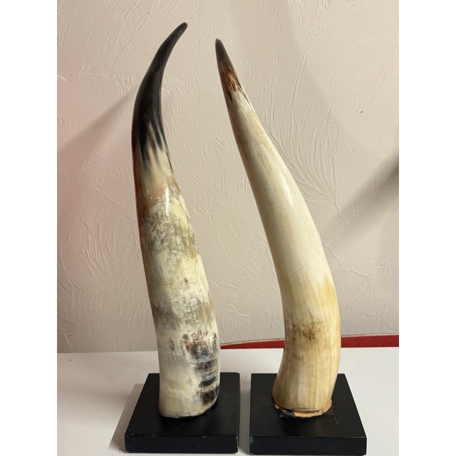Contemporary 1970s Pair of Decorative Steer Horns For Sale - Image 3 of 7