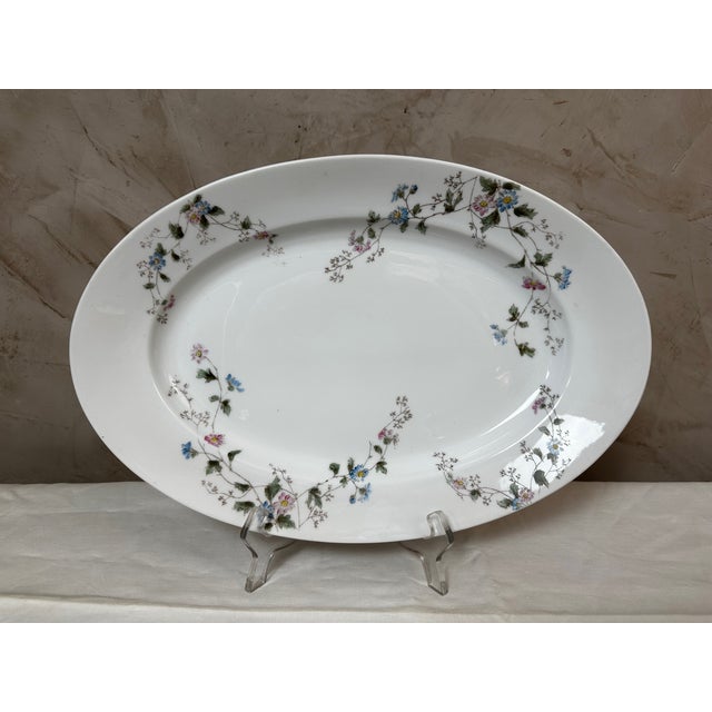 Dinner Plates from Limoges, 1900, Set of 27 For Sale - Image 12 of 16