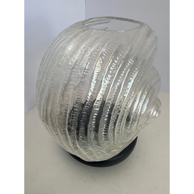 Glass Large Vintage Nautilus Shell Glass Sculpture, 9" Hand Blown Art Glass For Sale - Image 7 of 18