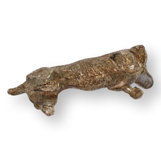 Miniature Vienna Bronze Dachshund Dog For Sale - Image 4 of 4