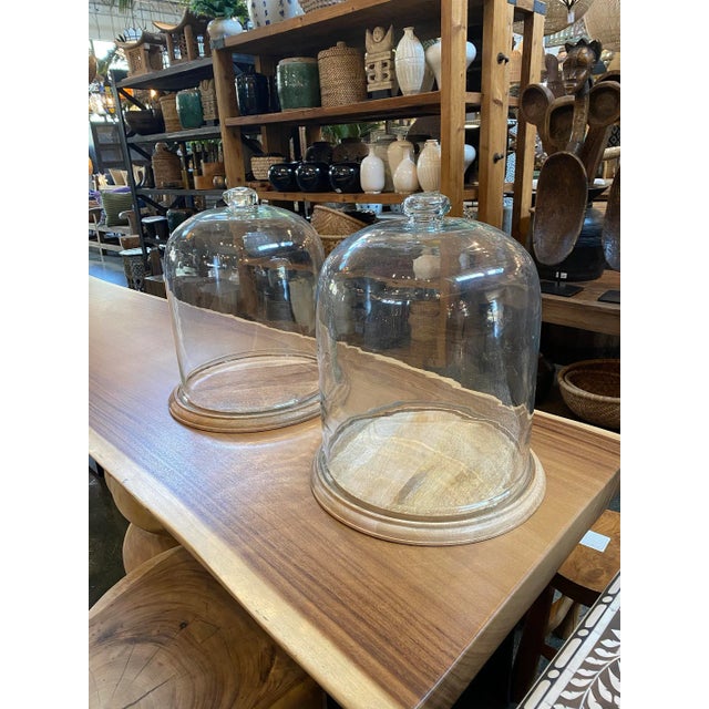 Jumbo Hurricane Glass Dome Chairish