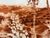 Paper G H Rothe Yuca Hand Signed Art Limited Edition Landscape 1982 For Sale - Image 7 of 7