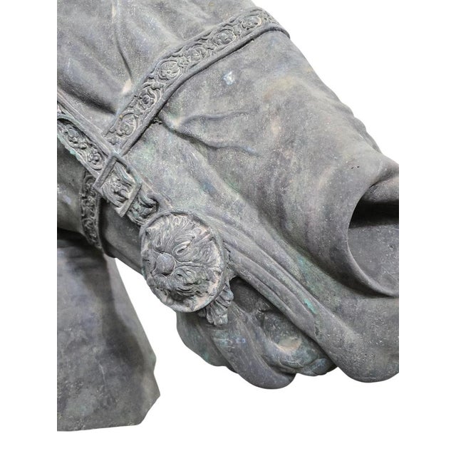 Fernando Sánchez Castillo, Horse Head, 2004, Bronze For Sale - Image 4 of 15