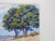 Rustic Early 21st Century Plein Air Impressionist Coastal Landscape Painting For Sale - Image 3 of 7