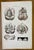 Brain Diseases is a lithograph hand colored by Ottavio Muzzi for the edition of Antoine Chazal, Human Anatomy, Printers...