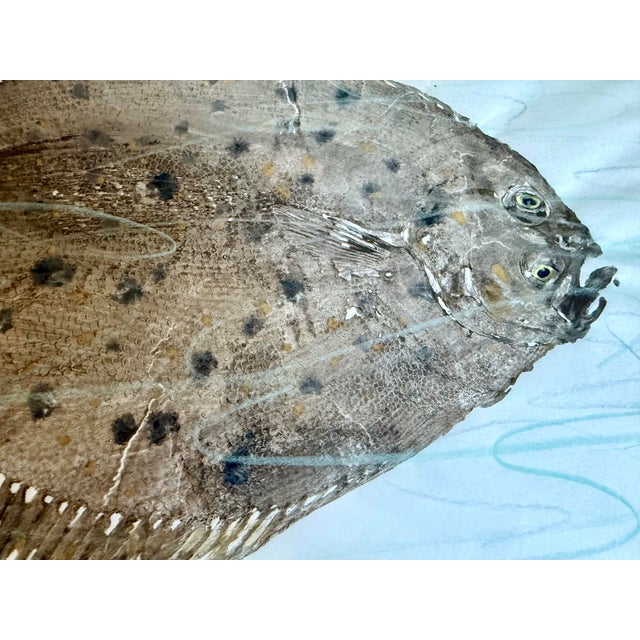 Vintage Original Gyotaku Fish Print “Windowpane” by David J. Denick | Framed Coastal Fishing Art, Signed For Sale - Image 4 of 12