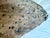 Vintage Original Gyotaku Fish Print “Windowpane” by David J. Denick | Framed Coastal Fishing Art, Signed For Sale - Image 4 of 12
