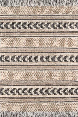 Esme Charcoal Hand Woven Area Rug 2' X 3'