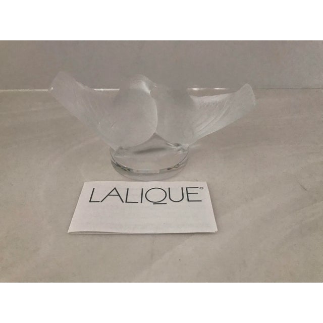 LaLique Society of America 1993 Crystal Love Birds New in Box For Sale - Image 13 of 13