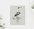 Illustration William Lewin 1789 Waterbirds Fine Art Gallery Board Print - The Blue Heron For Sale - Image 3 of 9