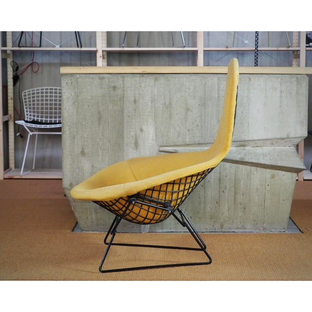 Bertoia Bird Chair in Hopsack Orange by Harry Bertoia for Knoll International, 1990s, in Good conditions. Designed 1950 to...