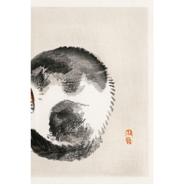 Japanese Sleeping Cat by Kōno Bairei, Japanese Art Print Reproduction, 20" × 16" For Sale - Image 3 of 5