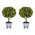 Trompe l'Oeil Free-Standing Pair Calamondin Orange Topiaries For Sale