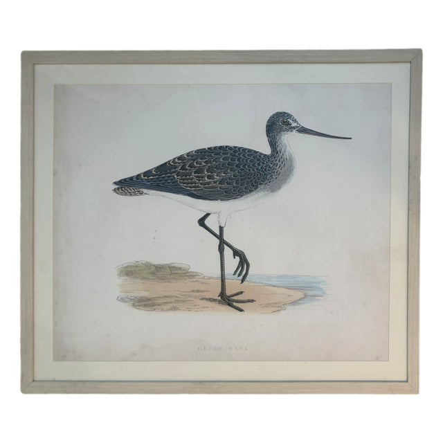 Oversized Ballard Designs Audubon Style Coastal Shorebird Prints – A Pair For Sale - Image 9 of 16