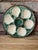1950s French Longchamp Majolica Green and White Oyster Plate For Sale - Image 13 of 14