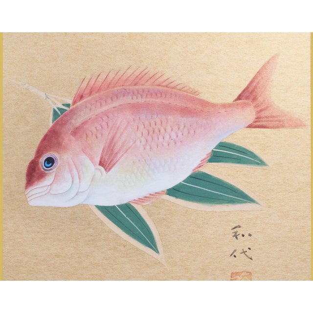 "Red Snapper", Heisei Era Japanese Watercolor Painting For Sale - Image 4 of 17