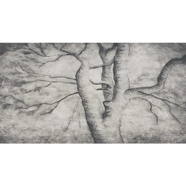 Printmaking Materials Henry Spencer Moore (1898-1986) "Spreading Branches" Original Signed Etching For Sale - Image 7 of 11