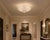 Fabio Ltd 21st Century Italian Palma Clear Graniglia Murano Glass Flush Mount by Fabio LTD For Sale - Image 4 of 4