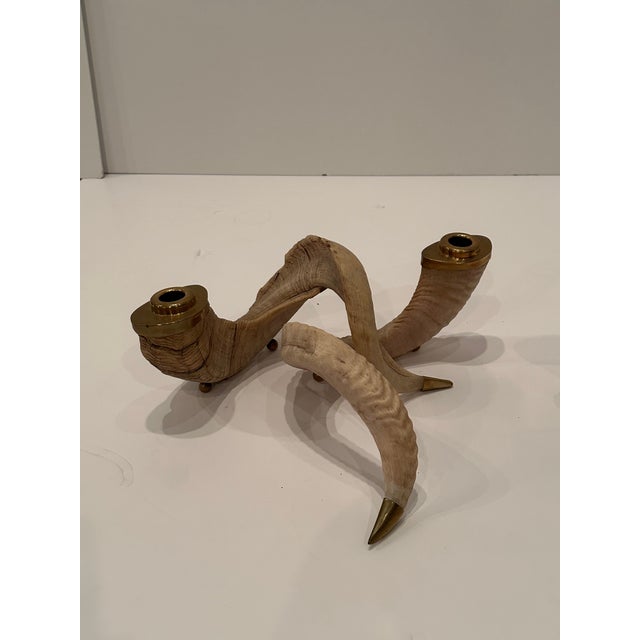Vintage Curly Ram Horn and Brass Candlesticks -Set of 4 For Sale - Image 4 of 11