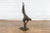 Contemporary Bronze Statue of a Parrot Perched on a Branch and Leaning Down, with Dark Patina For Sale In New York - Image 6 of 13